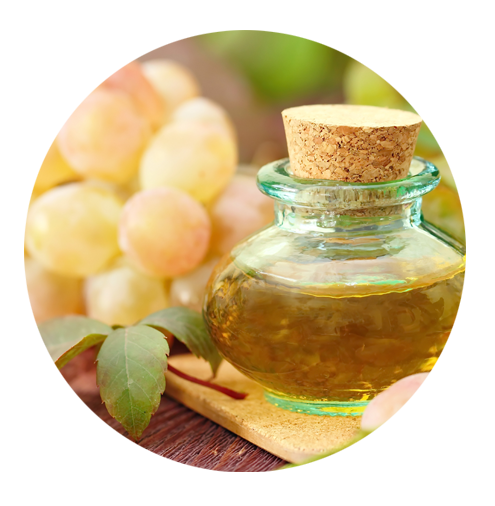 Enovita Grape Seed Extract
